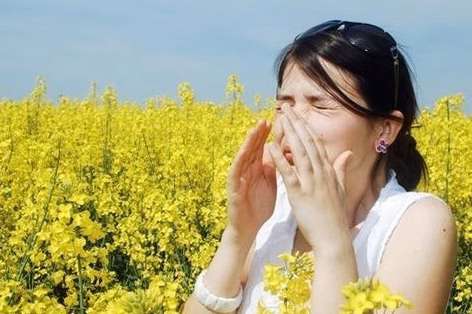 Drill Allergie : efficacité et usage de la cétirizine