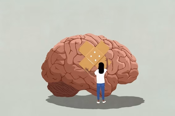 Le régime idéal pour entretenir un cerveau vif et rester alerte, d&rsquo;après les découvertes scientifiques